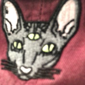 Meet your Posher, Hector